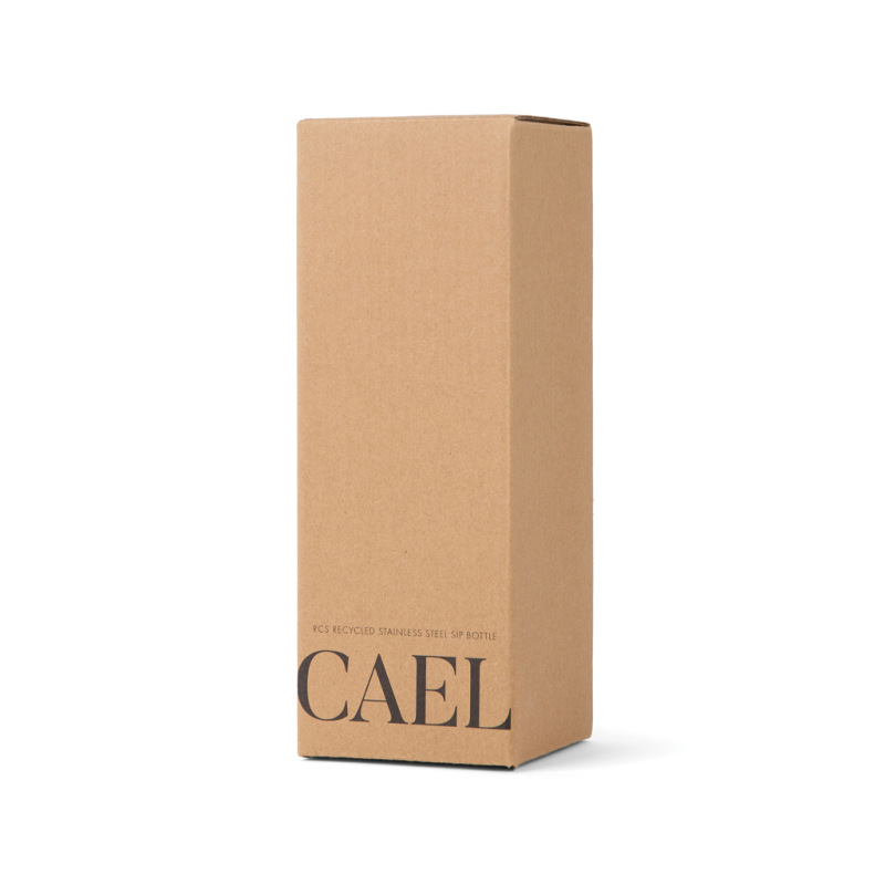 VINGA Cael RCS nerezová fľaša so slamkou 600 ml biela 12