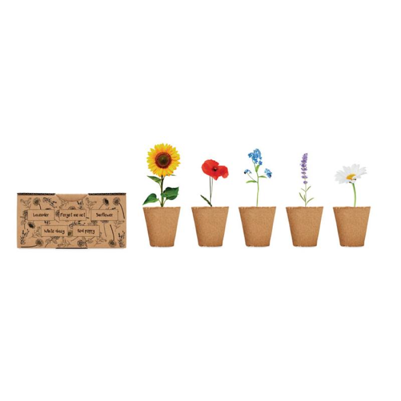 FLOWERS 3