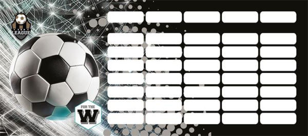 Rozvrh hodín, do peračníka, obojstranný, LIZZYSULI, "Top League"
