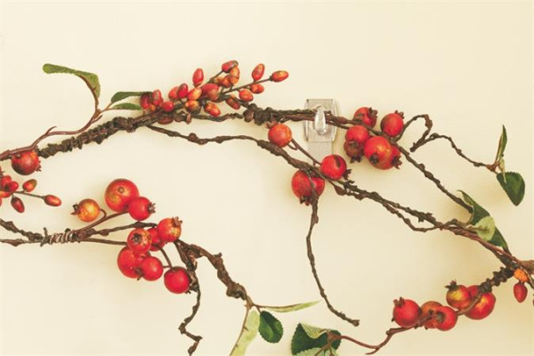 3M SCOTCH Mini plastový vešiak, 3M "Command", priehľadný 4