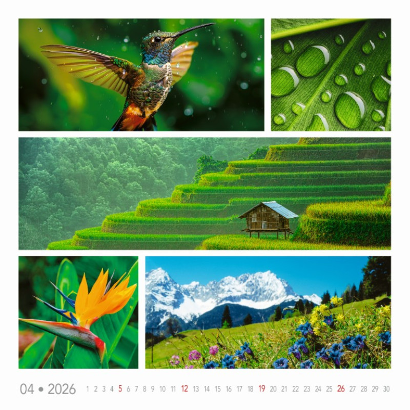 Nástenný kalendár Colours of nature 2026 2