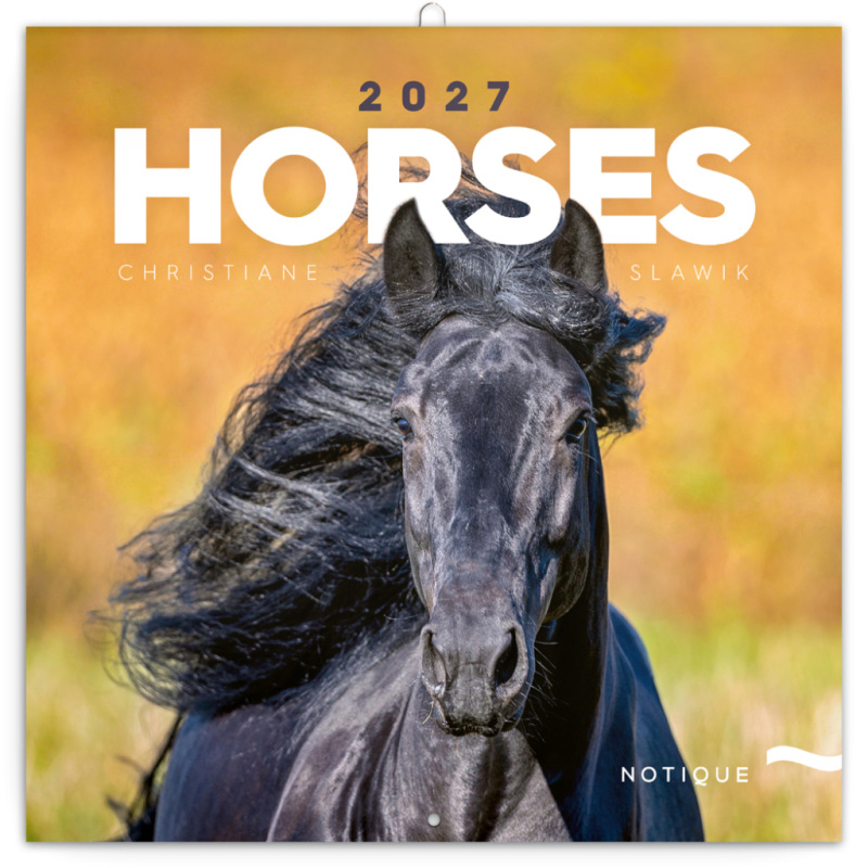 NOTIQUE Grid calendar Horses – Christiane Slawik 2027, 30 x 30 cm