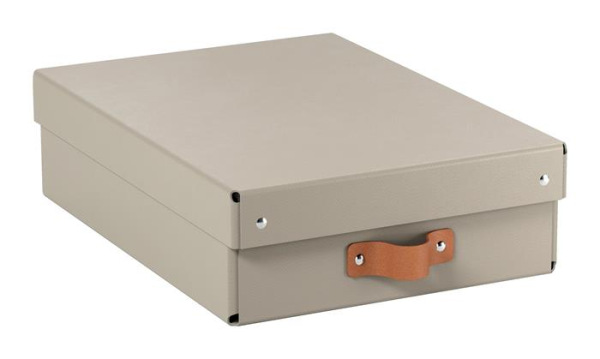 Úložný box, veľkosť M, nízky, LEITZ "Puro", pieskový 1