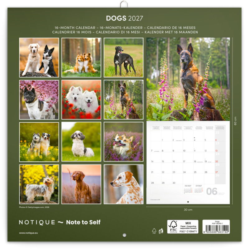 NOTIQUE Grid calendar Dogs 2027, 30 x 30 cm 14