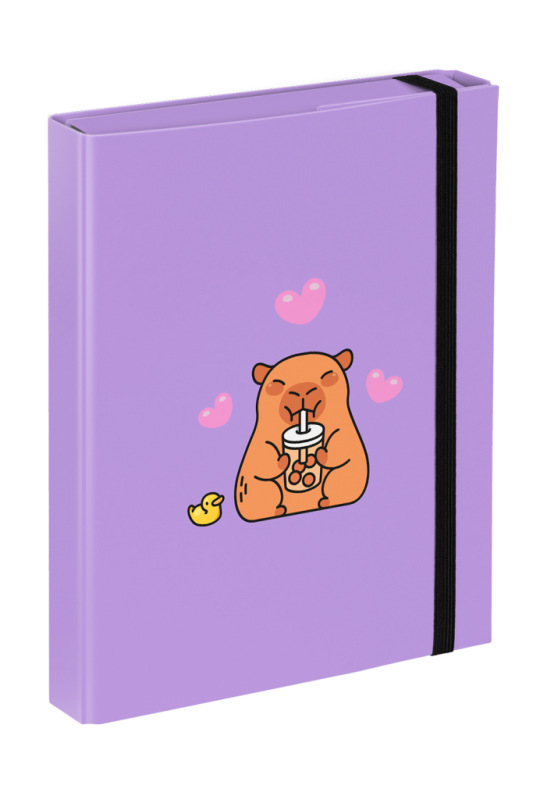 BAAGL Dosky na školské zošity A5 Kapybara