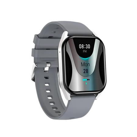 Smart hodinky, BT-call, CANYON " Chatter SW-58", sivé 3