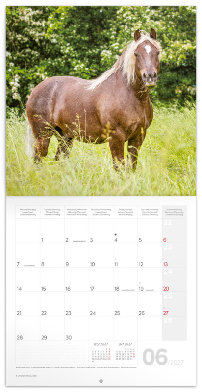NOTIQUE Grid calendar Horses – Christiane Slawik 2027, 30 x 30 cm 1