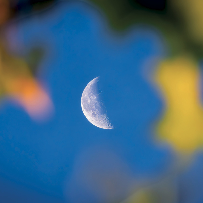 NOTIQUE Grid calendar The Moon 2027, 30 x 30 cm 5