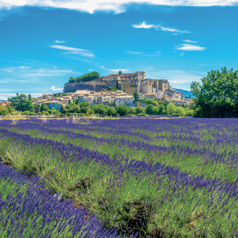 NOTIQUE Poznámkový kalendár Provence 2027, 30 x 30 cm 5