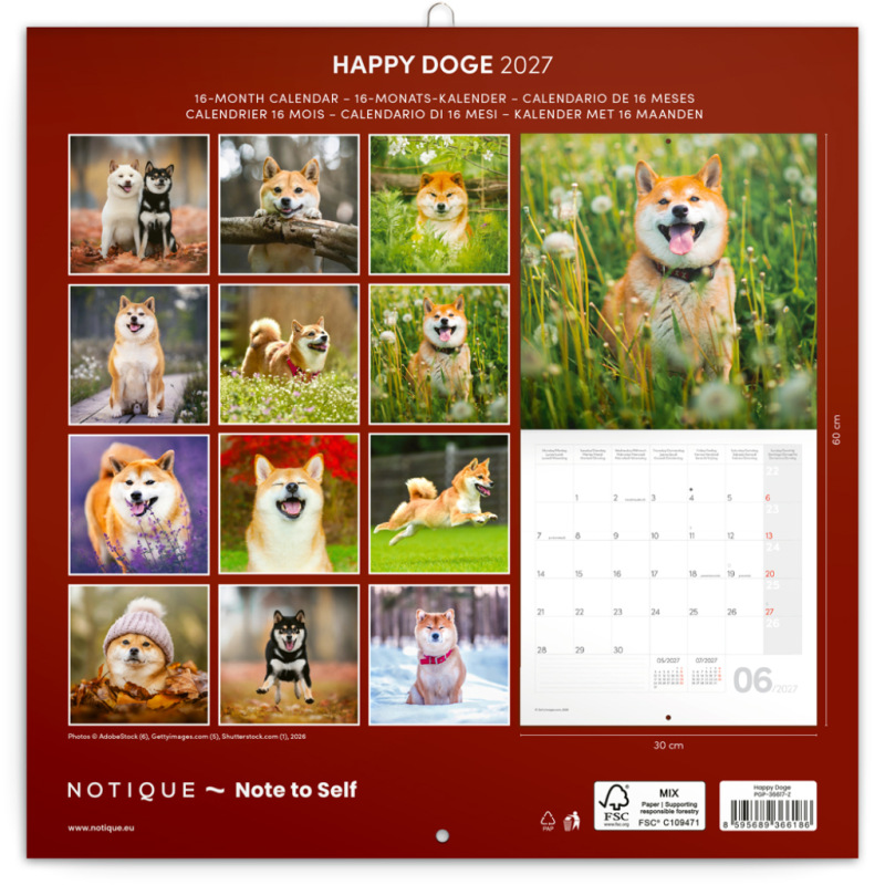 NOTIQUE Grid calendar Happy Doge 2027, 30 x 30 cm 14