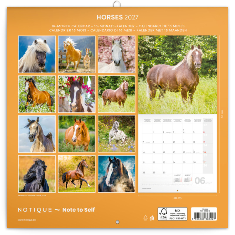 NOTIQUE Grid calendar Horses – Christiane Slawik 2027, 30 x 30 cm 14