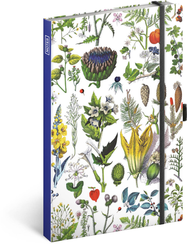 NOTIQUE Notes Bylinky Kateřiny Winterové, linajkovaný, 13 x 21 cm