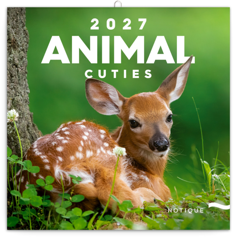 NOTIQUE Grid calendar Animal Cuties 2027, 30 x 30 cm