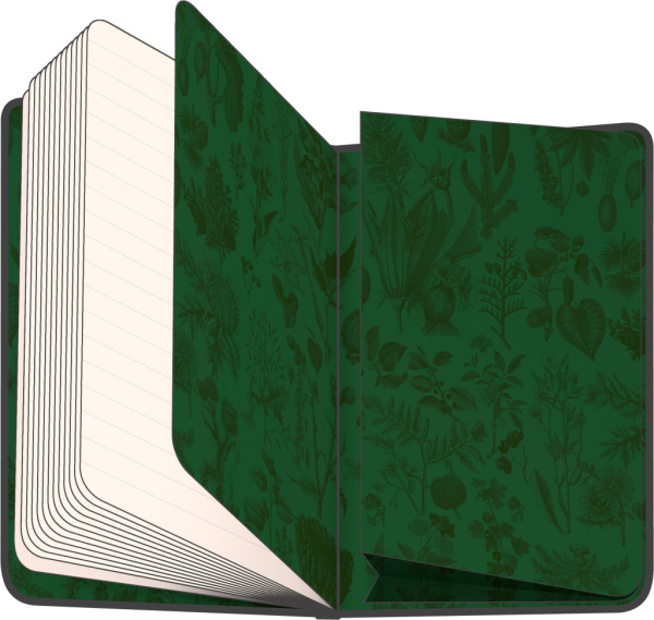 NOTIQUE Notes Bylinky Kateřiny Winterové, linajkovaný, 13 x 21 cm 3