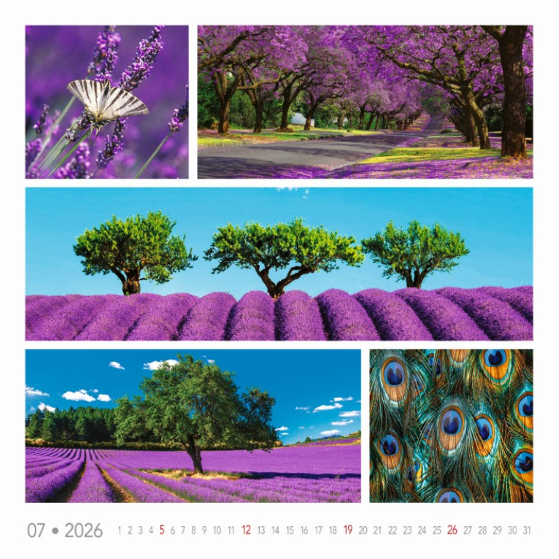 Nástenný kalendár Colours of nature 2026 5