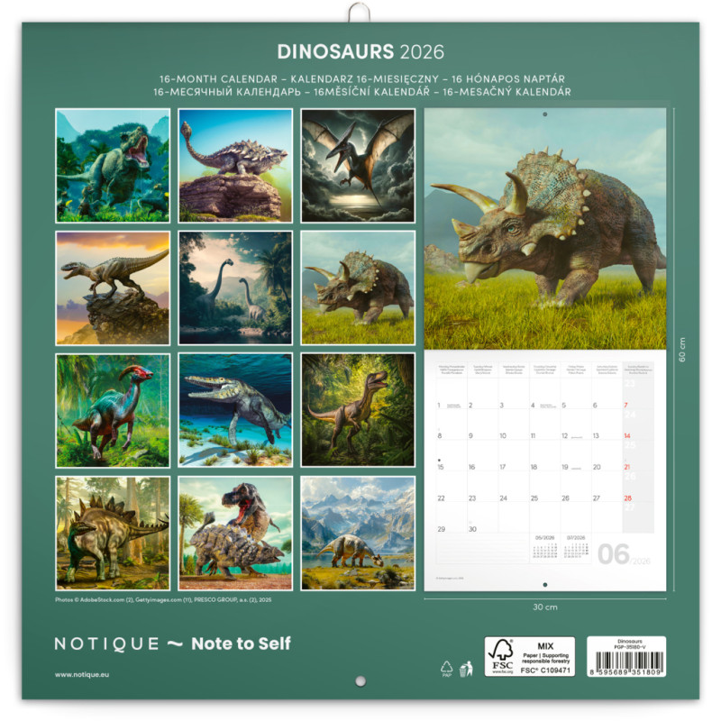 NOTIQUE Poznámkový kalendár Dinosaury 2026, 30 x 30 cm 14