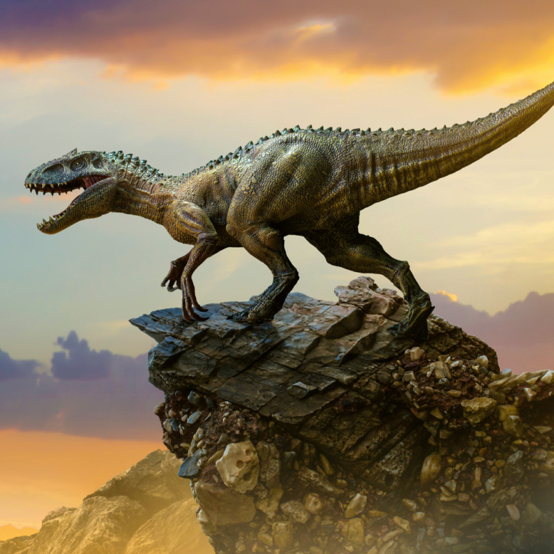 NOTIQUE Poznámkový kalendár Dinosaury 2026, 30 x 30 cm 5