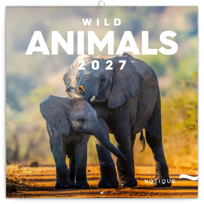 NOTIQUE Grid calendar Wild Animals 2027, 30 x 30 cm