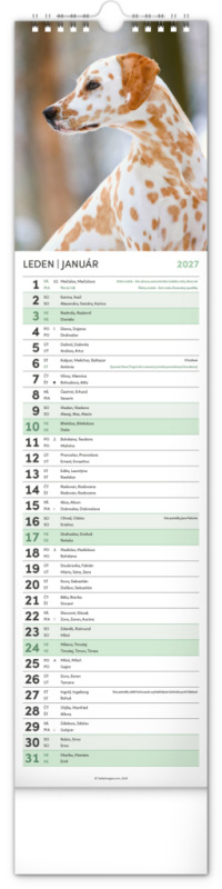 NOTIQUE Nástenný kalendár Psy CZ/SK 2027, 12 x 48 cm 1