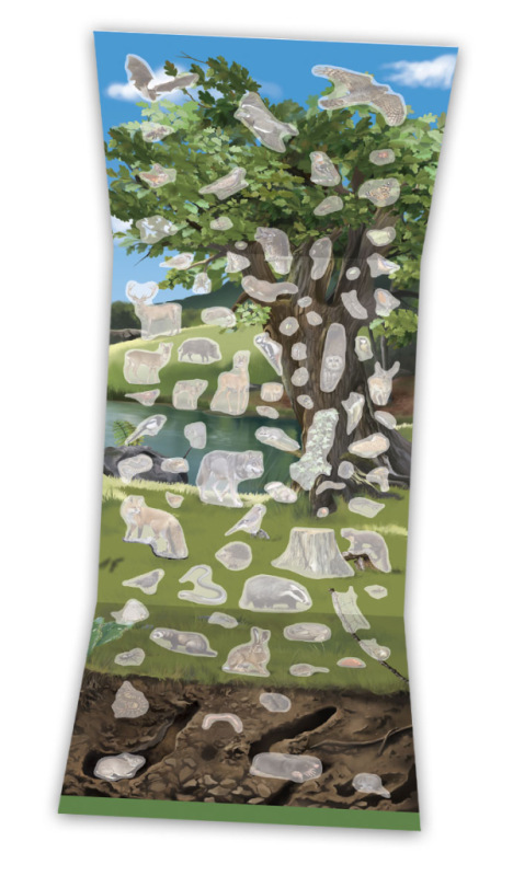 SVET STROMOV, húb a zvierat našich lúk a lesov – Knižka s plagátom a samolepkami 1