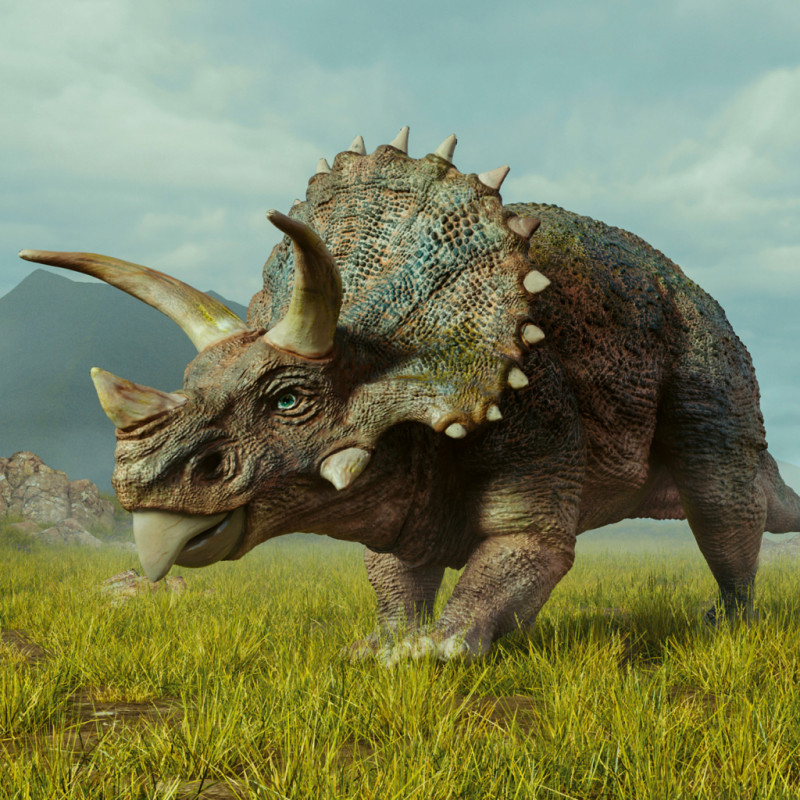 NOTIQUE Poznámkový kalendár Dinosaury 2026, 30 x 30 cm 7