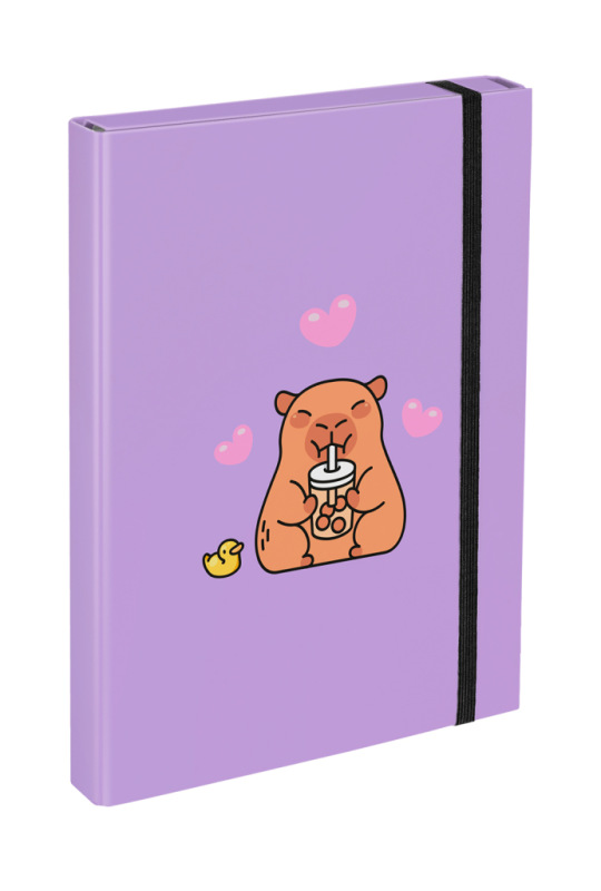 BAAGL Dosky na školské zošity A4 Kapybara