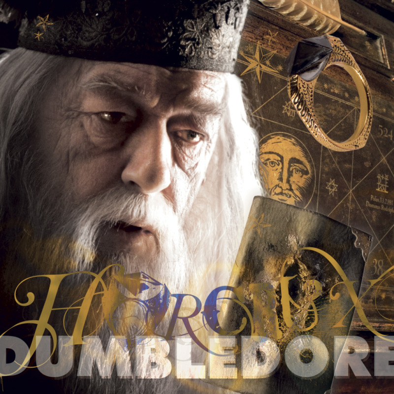 NOTIQUE Poznámkový kalendár Harry Potter 2027, 30 x 30 cm 12