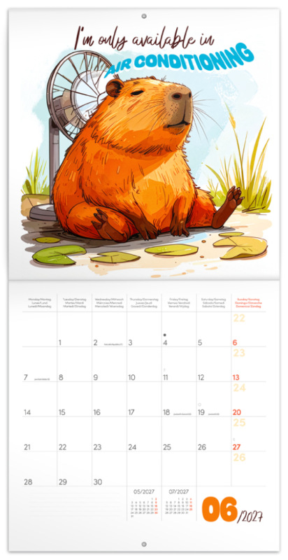 NOTIQUE Grid calendar Cheeky Capybaras 2027, 30 x 30 cm 1
