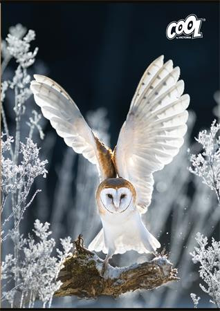 Zošit, A4, čistý, 80 listov, COOL BY VICTORIA "Wise Wings" 1