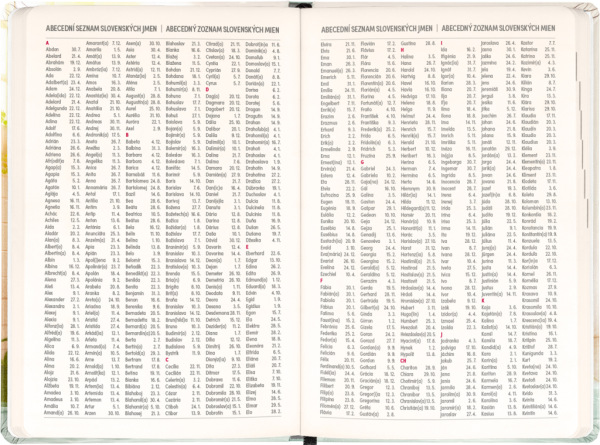 NOTIQUE 18-mesačný diár Petito – Kapybara 2026/2027, 11 x 16 cm 6