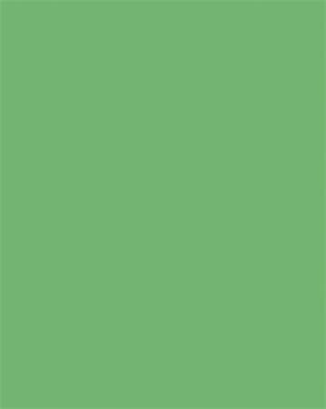 Dekoračný kartón, 2 stranný, 50x70 cm, 220 g, 10 listov, FOLIA, smaragdovo zelený