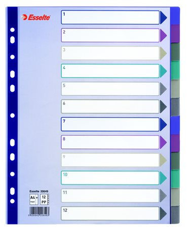 Register, plastový, A4 maxi, 12 častí, ESSELTE, farebný 1