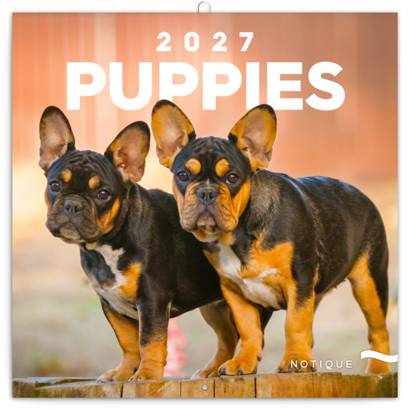 NOTIQUE Grid calendar Puppies 2027, 30 x 30 cm
