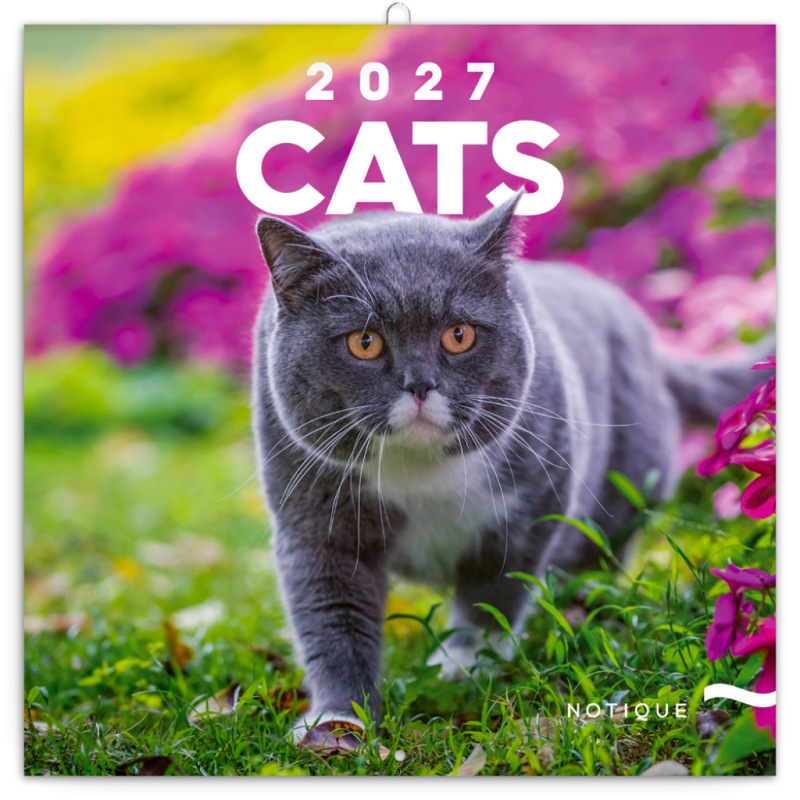 NOTIQUE Grid calendar Cats 2027, 30 x 30 cm