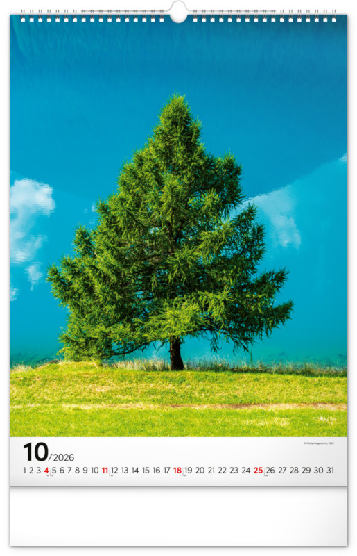 NOTIQUE Nástenný kalendár Stromy 2026, 33 x 46 cm 10