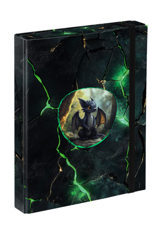 BAAGL Dosky na školské zošity A5 Draci