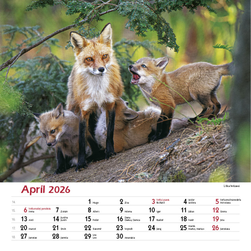 Nástenný kalendár Les a jeho príbehy 2026 3