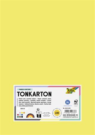 Dekoračný kartón, 2 stranný, A4, 220 g, 100 listov, FOLIA "Basic", 10 rôznych farieb 1