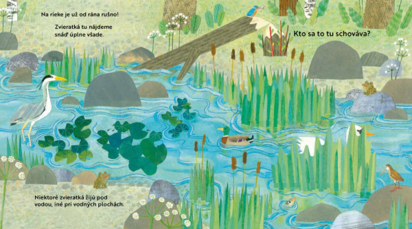 Kto sa to tu schováva? PRI RIEKE – Knižka s odklápacími okienkami 1