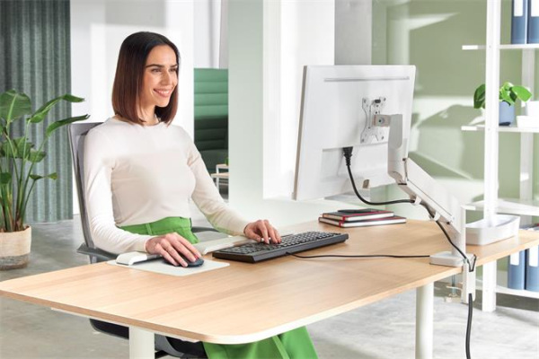 Rameno na jeden monitor, LEITZ "Ergo", svetlosivá 6