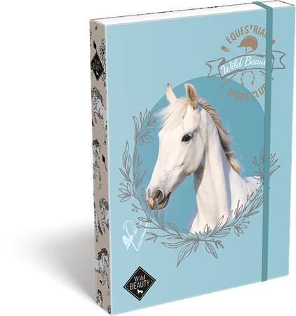 Box na zošity, A4, LIZZYSULI, "Wild Beauty, Sport Club" 1