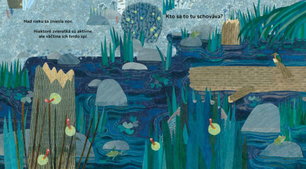 Kto sa to tu schováva? PRI RIEKE – Knižka s odklápacími okienkami 5
