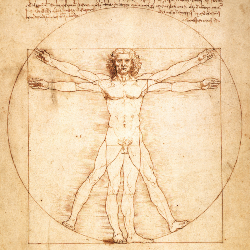 NOTIQUE Poznámkový kalendár Leonardo da Vinci 2026, 30 x 30 cm 2