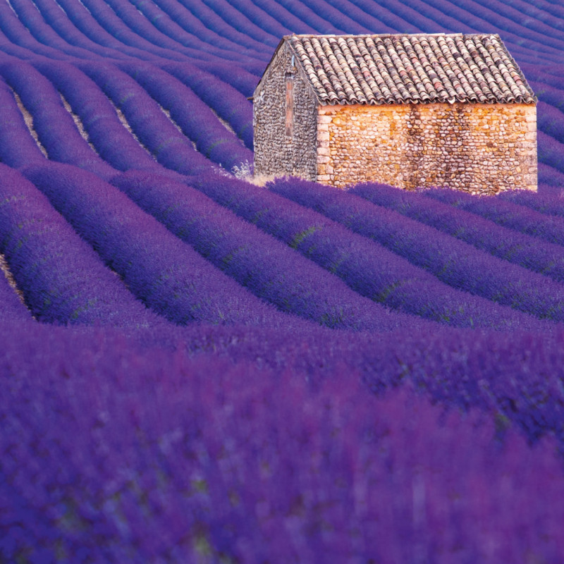 NOTIQUE Poznámkový kalendár Provence 2026, 30 x 30 cm 2