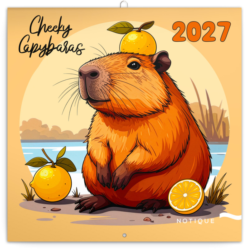 NOTIQUE Grid calendar Cheeky Capybaras 2027, 30 x 30 cm
