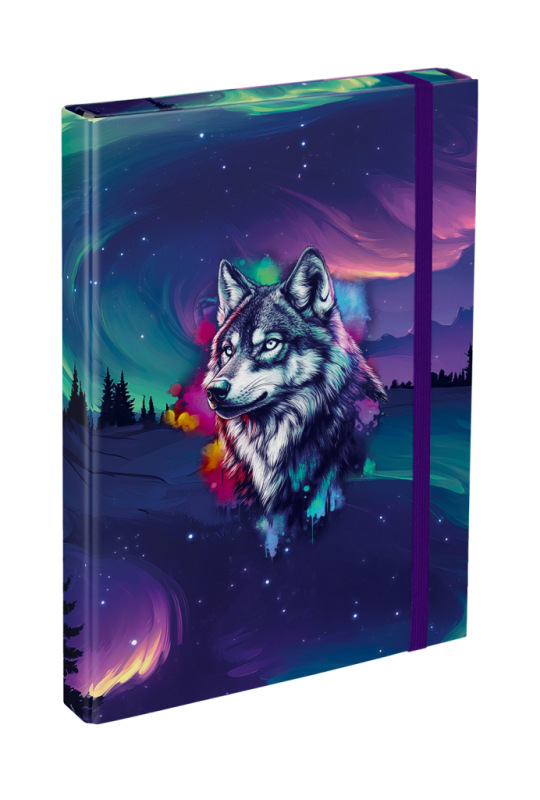 BAAGL Dosky na školské zošity A4 Aurora