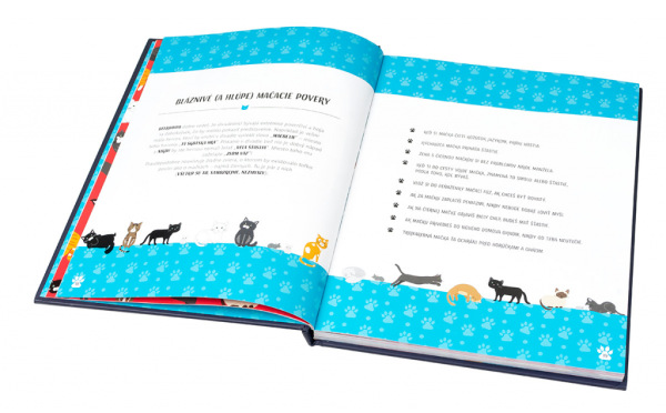 MAČKY V AKCII! - Neuveriteľné mačacie príbehy 1