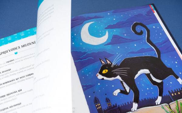 MAČKY V AKCII! - Neuveriteľné mačacie príbehy 6