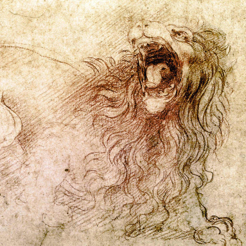 NOTIQUE Poznámkový kalendár Leonardo da Vinci 2026, 30 x 30 cm 9