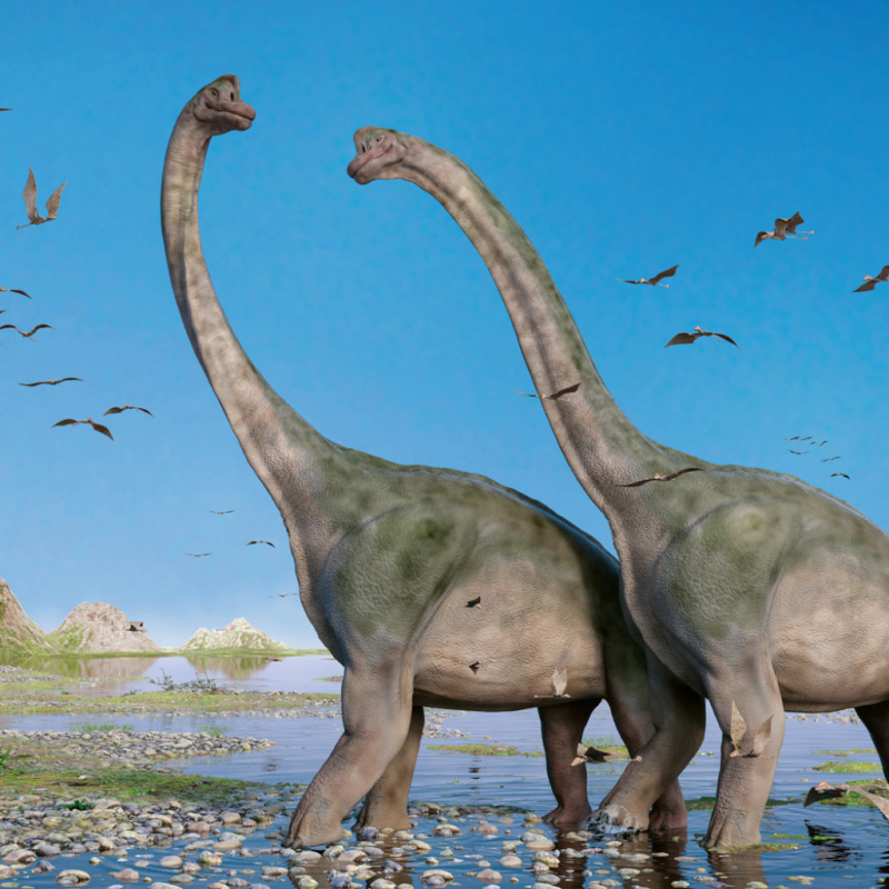 NOTIQUE Grid calendar Dinosaurs 2027, 30 x 30 cm 3